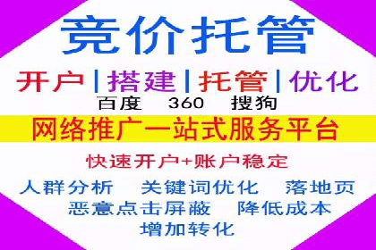 谷歌竞价广告与SEO结合的营销案例解析